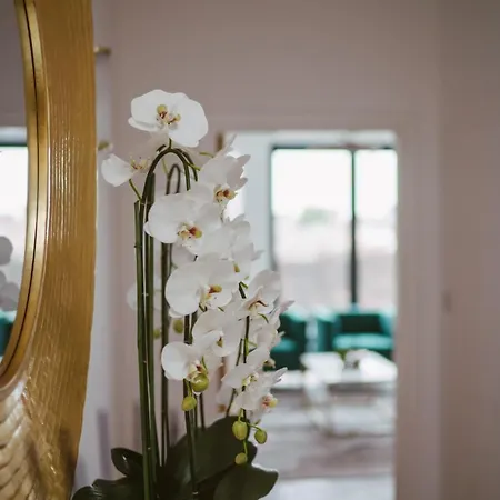 Riverside Apartment York